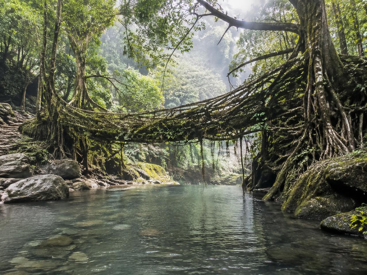 Mawlynnong & Shillong, Meghalaya